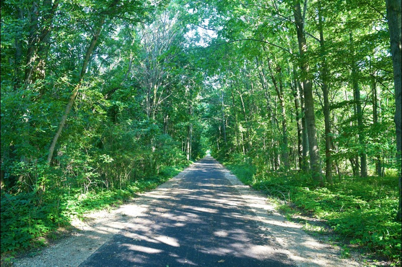 Paul Henry Thornapple Trail - Entire Trail